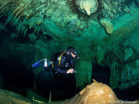 La Calypso Dive Center-图伦必去景点