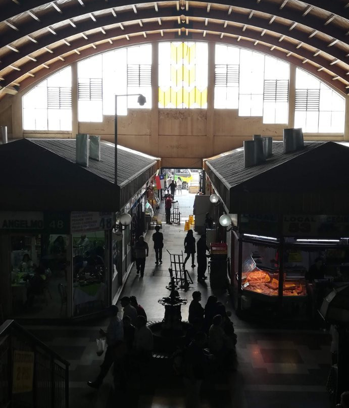 Mercado de Chillan-奇廉必去景点