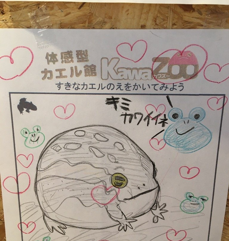 Kawazoo景点图片