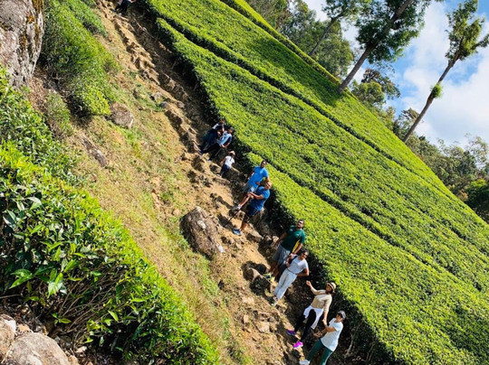 Lynford Bungalow主图