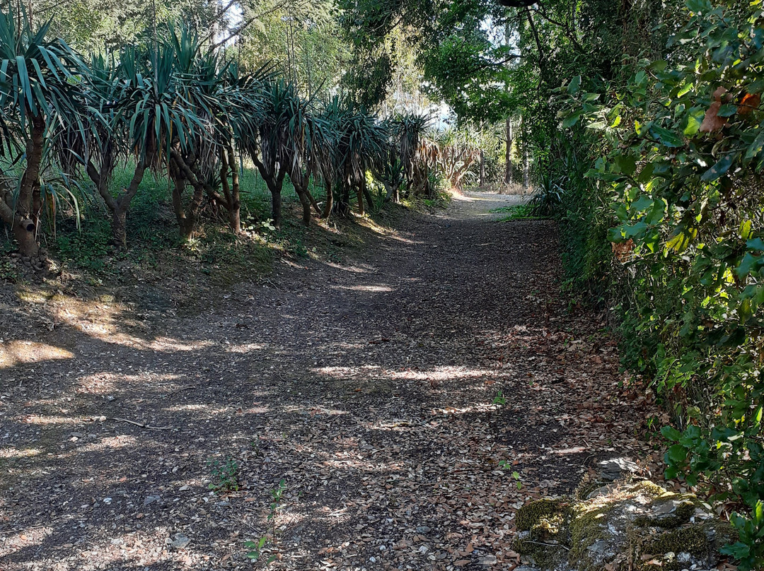 B&B Chateau des Bretonnieres sur Vie主图