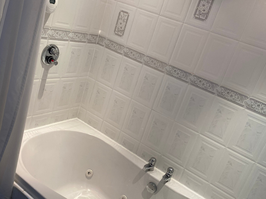 贝塞麦酒店主图