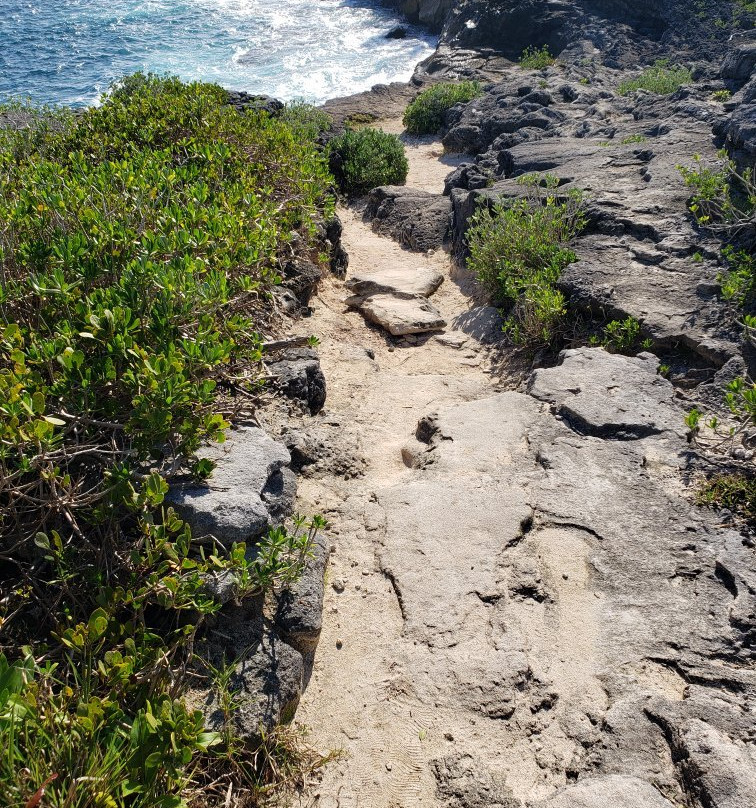 Spittal Pond Nature Reserve-百慕大必去景点