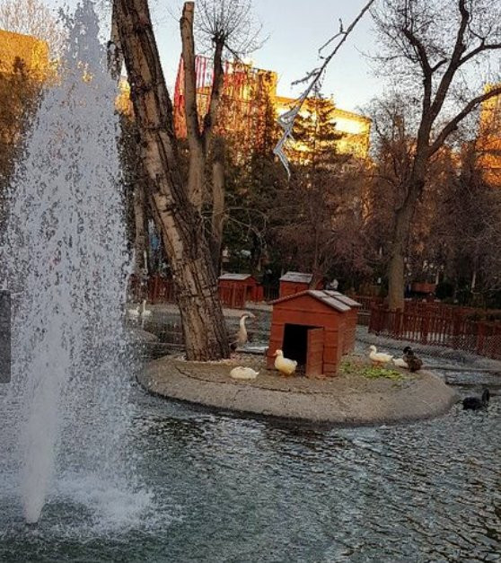 Kuğulu Park-安卡拉必去景点