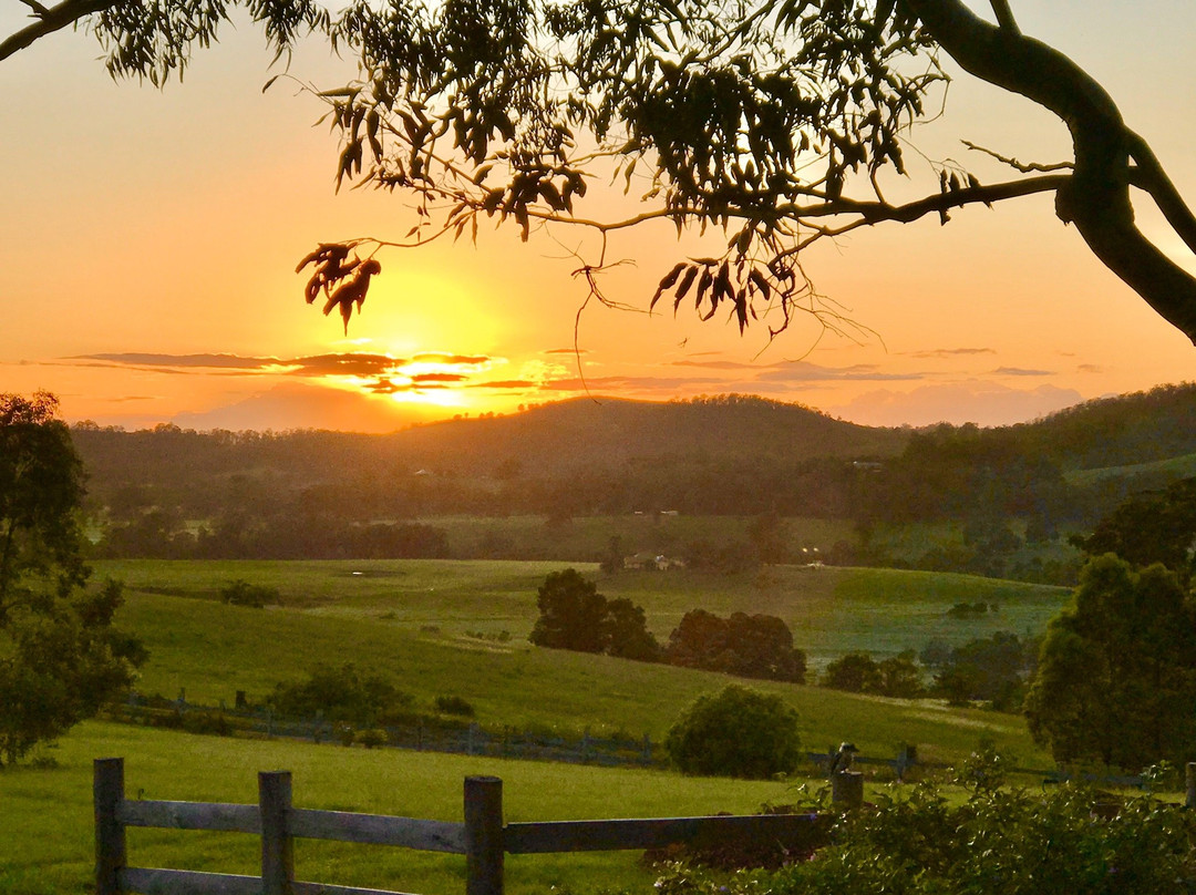 BellbirdHill Bed & Breakfast主图