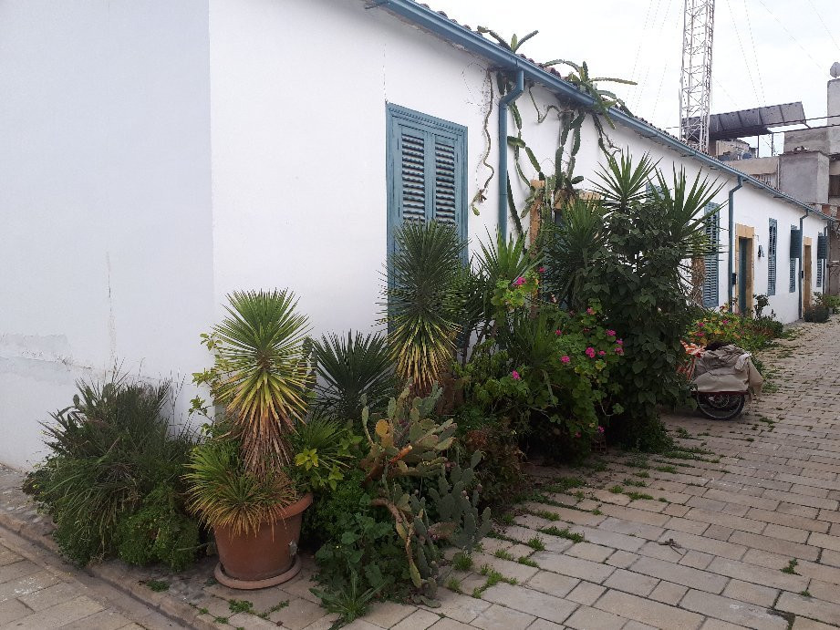 The Samanbahce Quater-尼科西亚必去景点