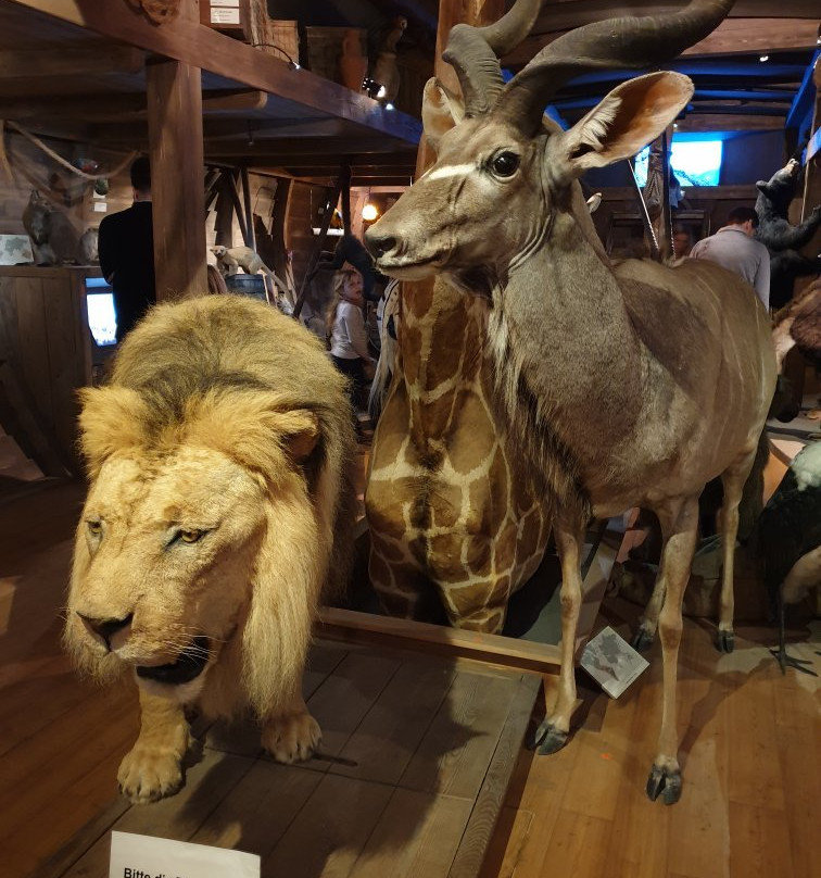 Naturkundemuseum-爱尔福特必去景点