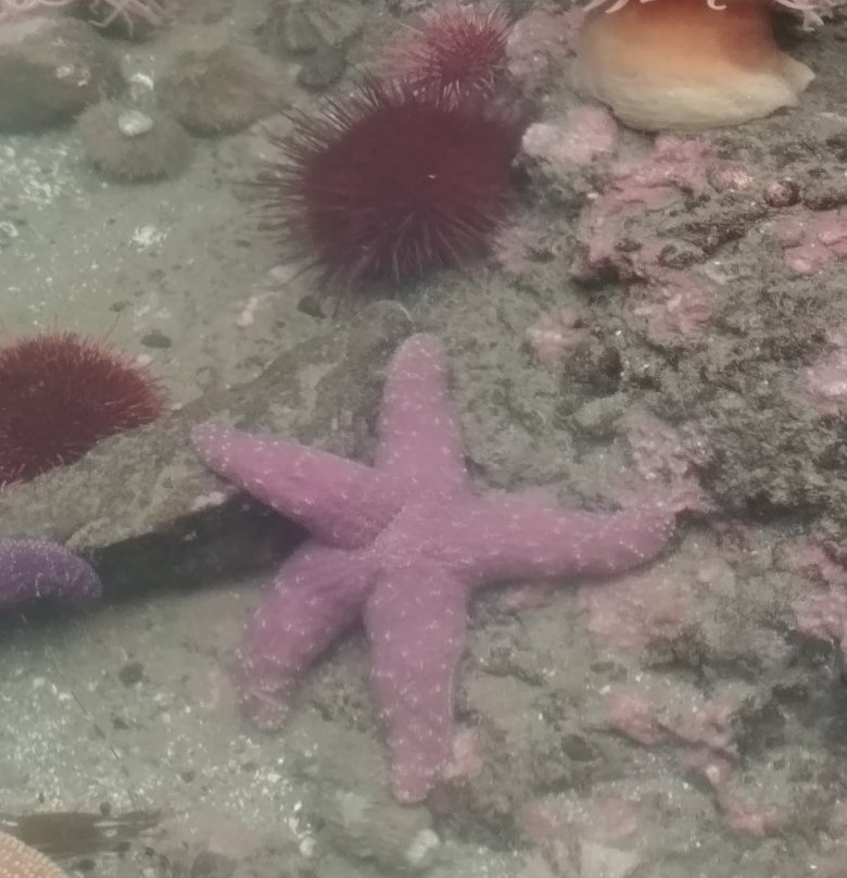 SEA Discovery Center景点图片