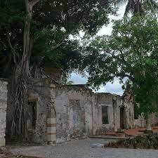 Cortez Casa And La Ceiba Tree La Antigua景点图片