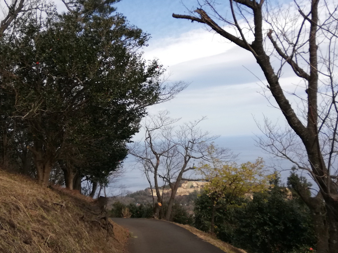 Komuroyama Park景点图片