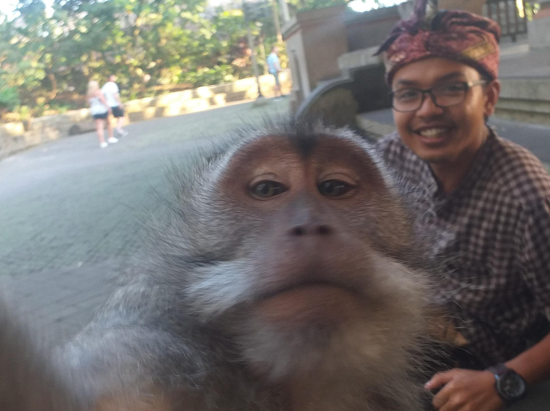 Bali Car Hire With Driver As Guide景点图片