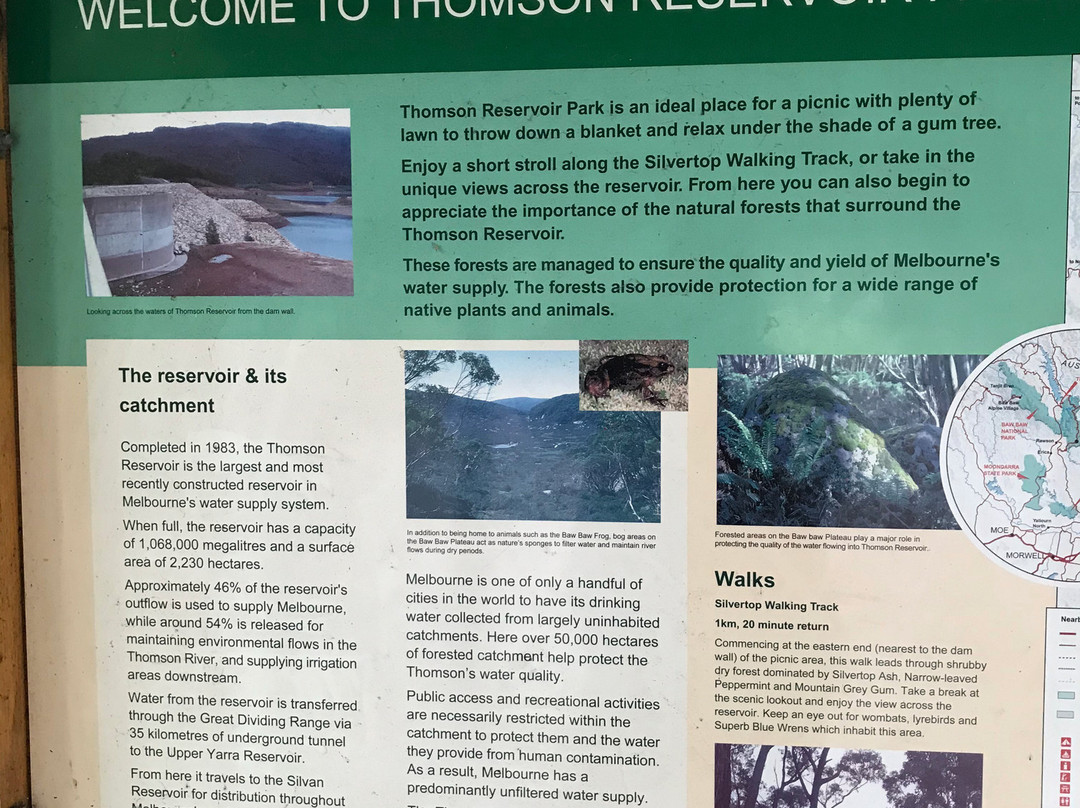 Thomson Picnic Area景点图片