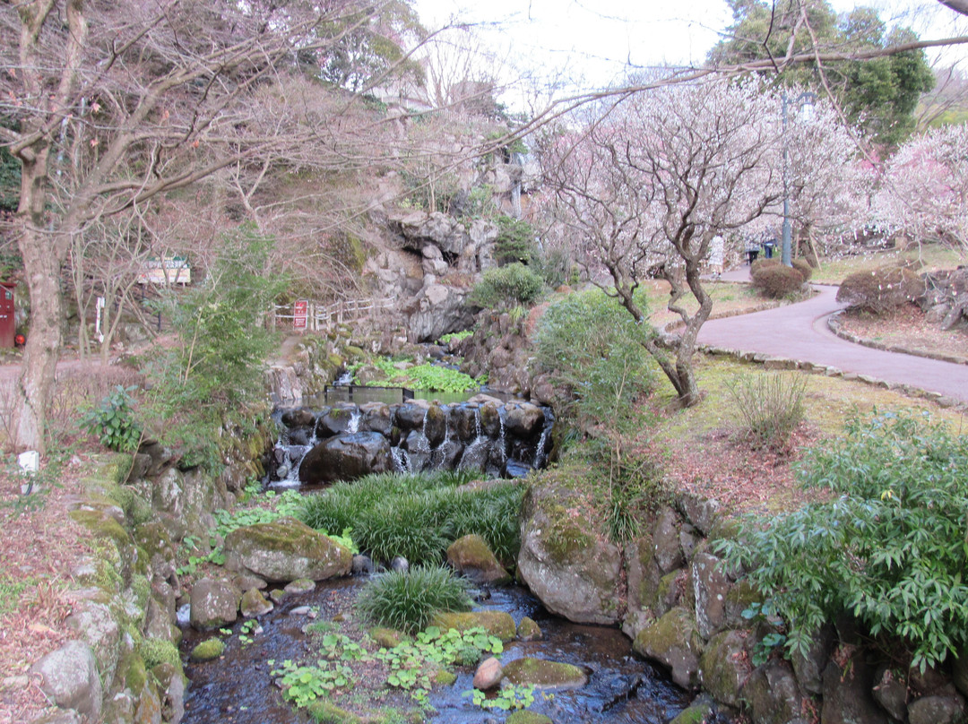 Atami Baien Ume Blossom Festival-热海市必去景点