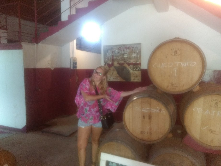 Bodega Pulmary景点图片