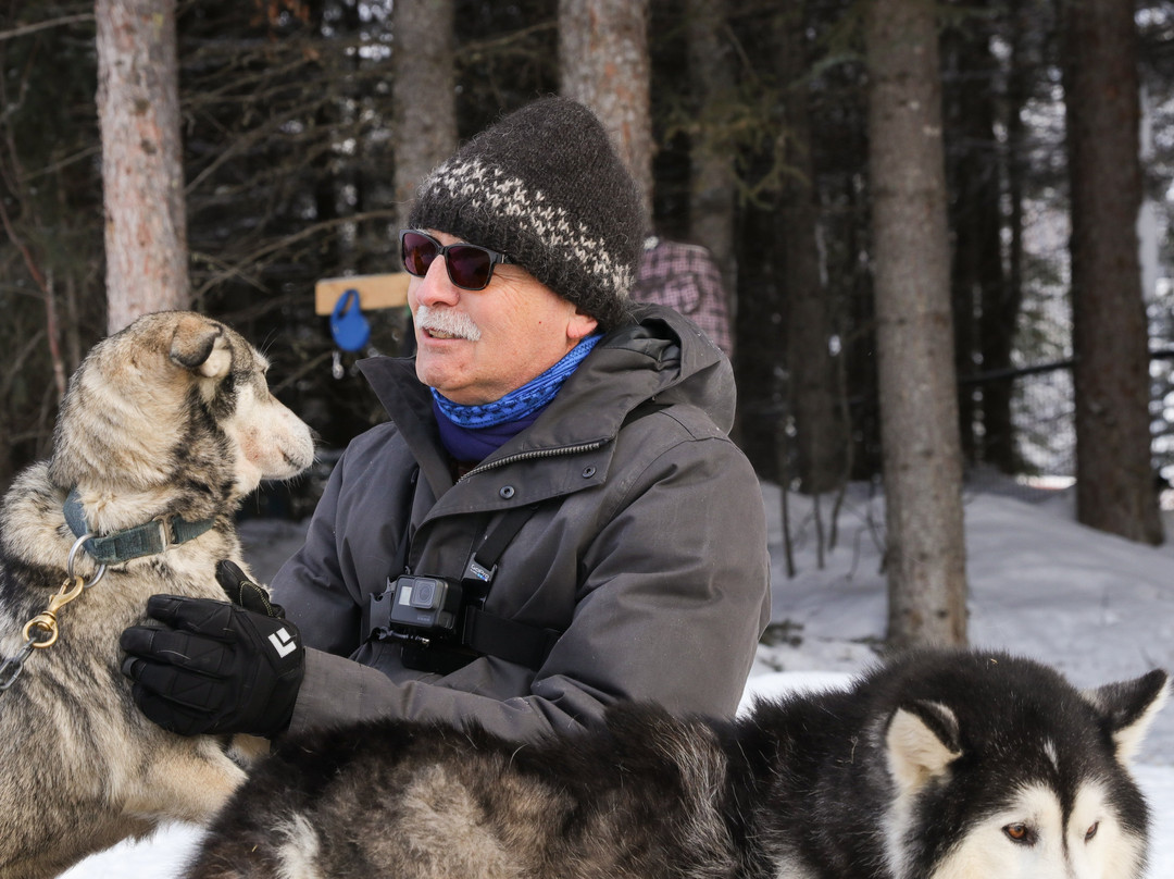 Golden Dog Sled Adventures-戈尔登必去景点