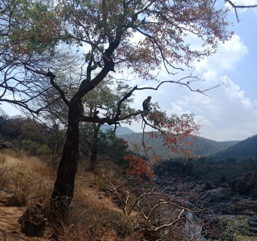 Mekedatu-Kanakapura必去景点