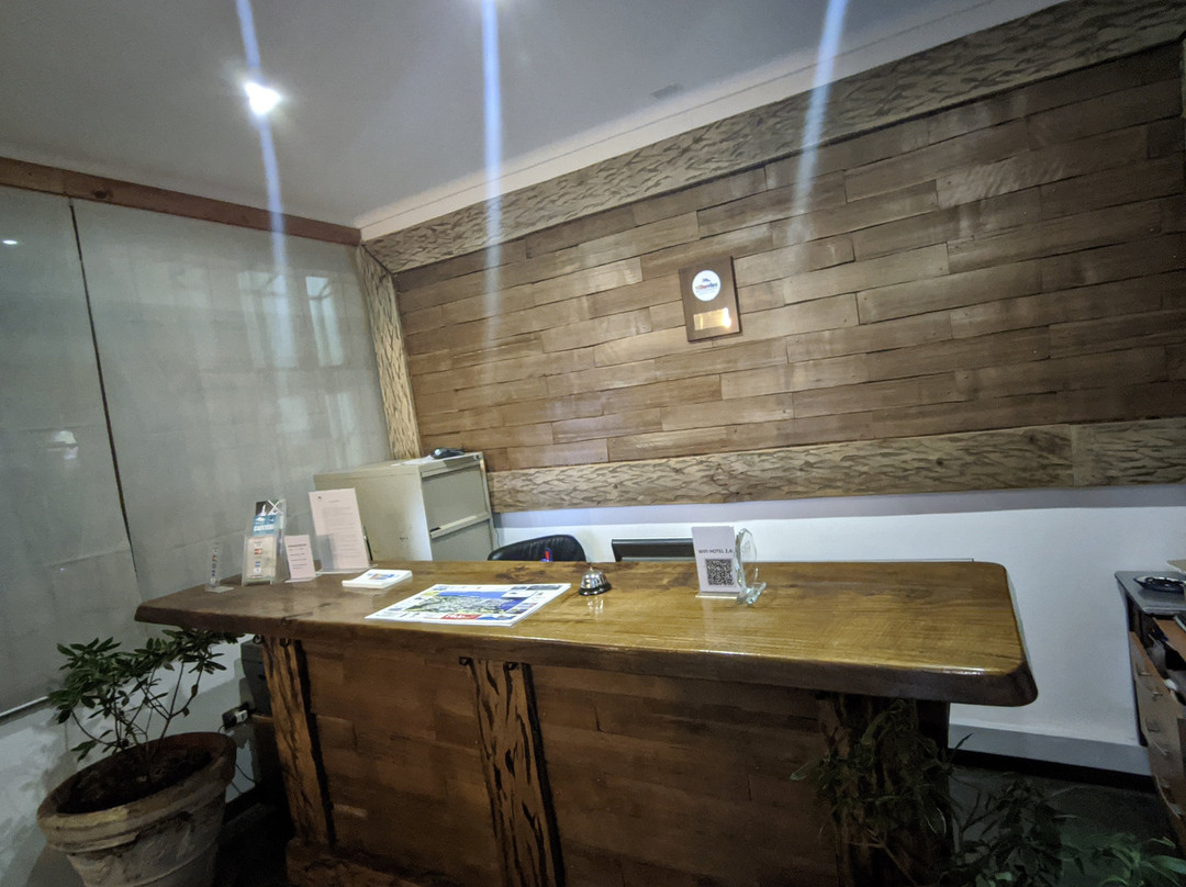 Lican Ray Hotel主图