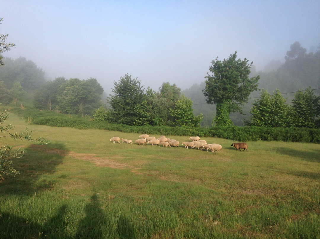 Quinta Casa da Fonte主图