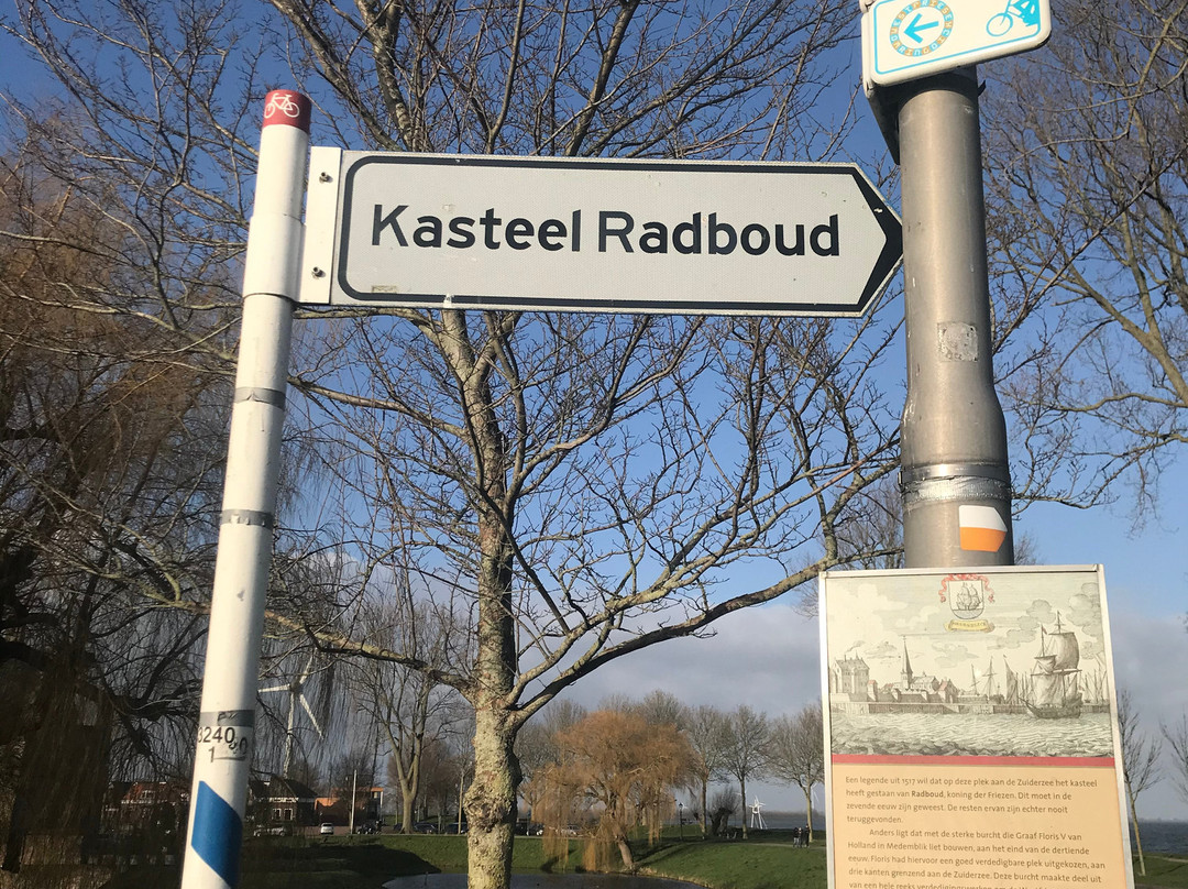 Castle Radboud景点图片