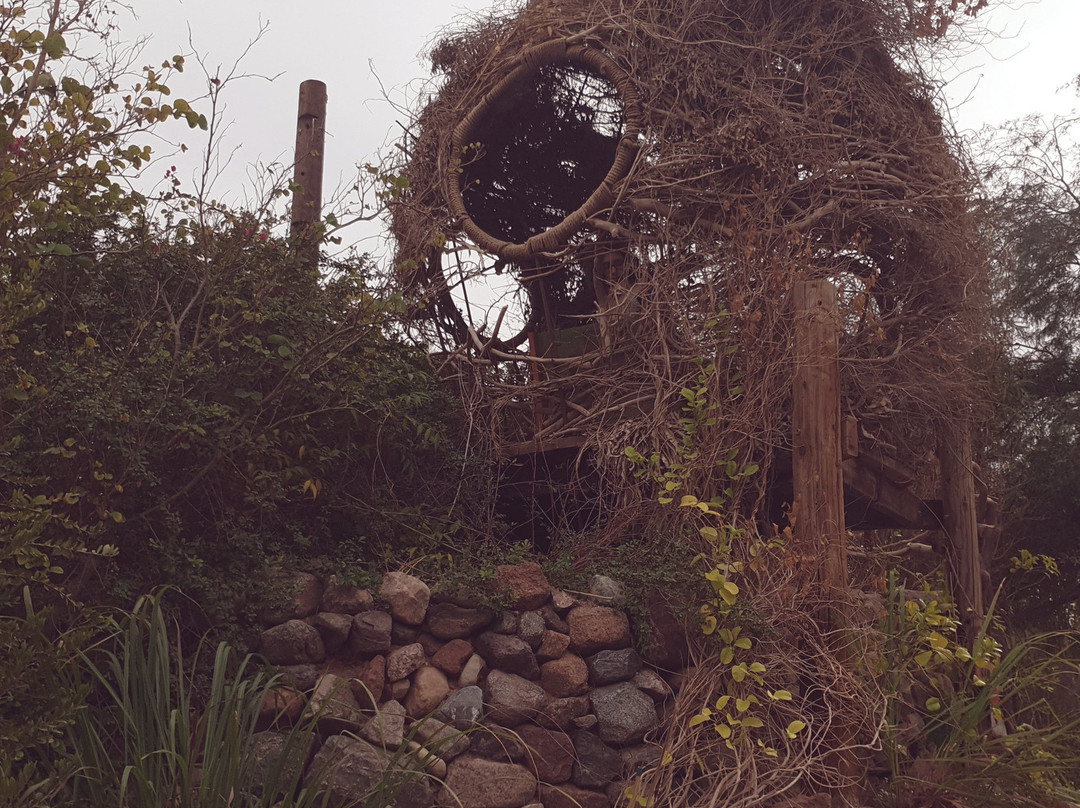 The Botanical Garden Of Eilat-埃拉特必去景点