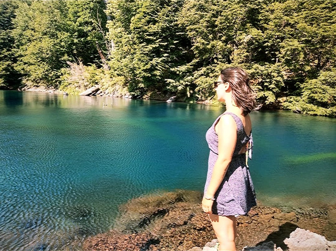 Parque Nacional Conguillio-Melipeuco必去景点