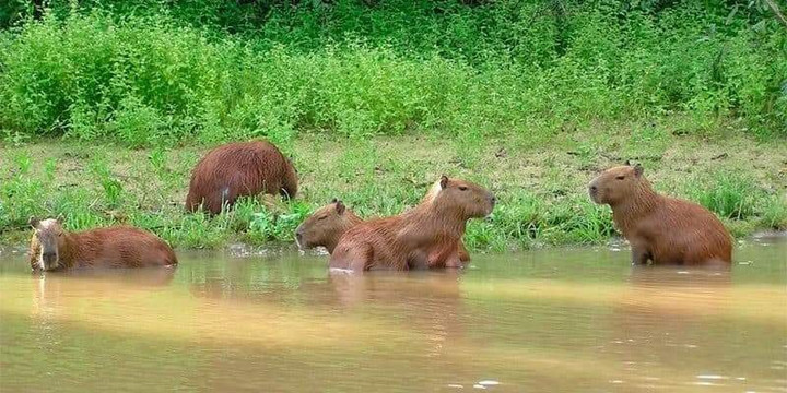 Easy Way Tours Bolivia-拉巴斯必去景点