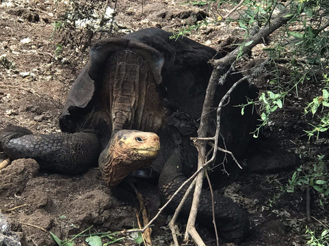 Good Life Expeditions-利马必去景点