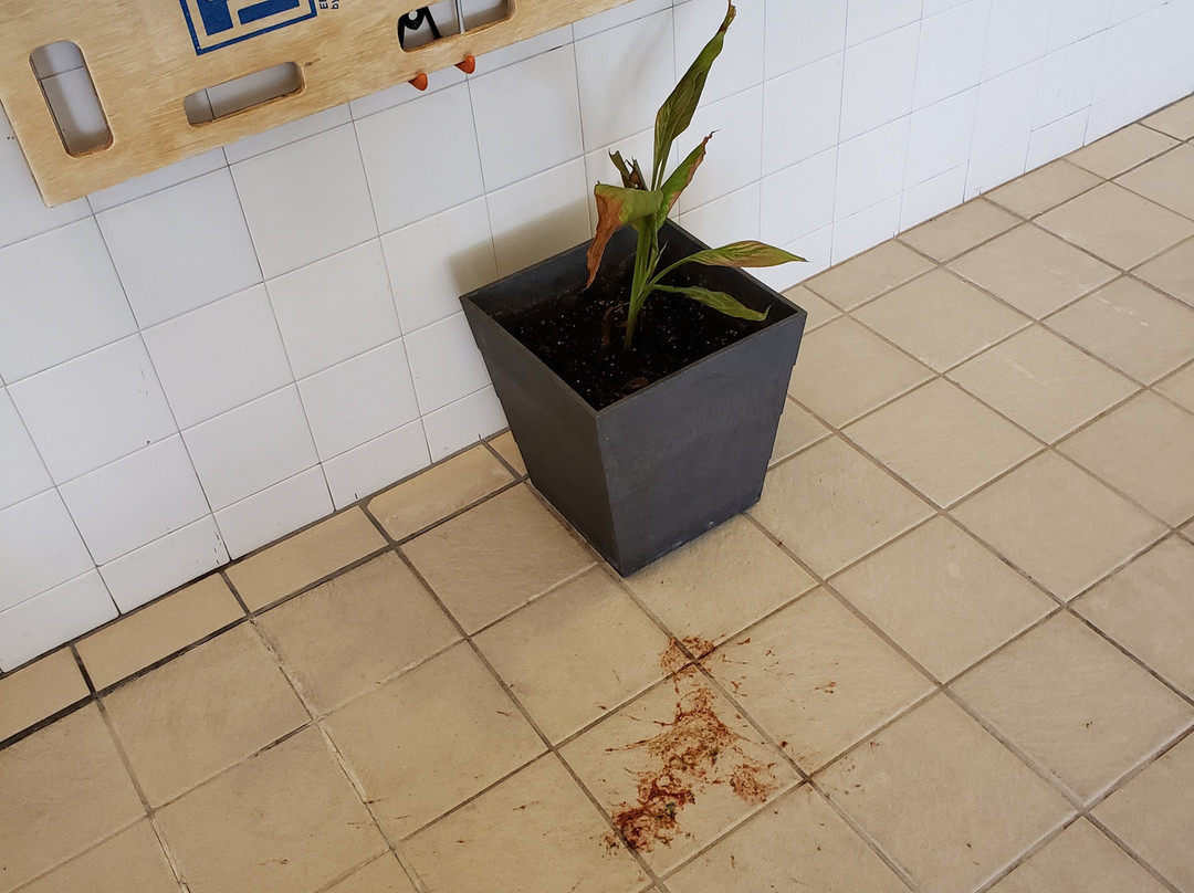 大瀑布希尔顿花园酒店主图