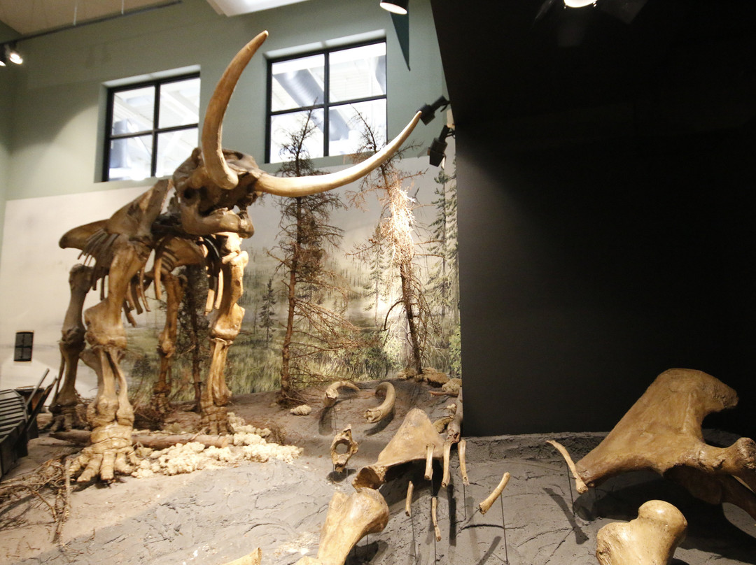 New Brunswick Museum-圣约翰必去景点