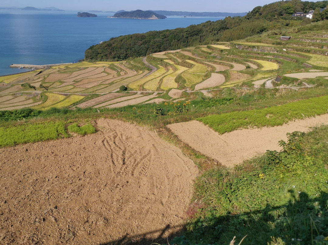 Doya Terraced Rice Field景点图片