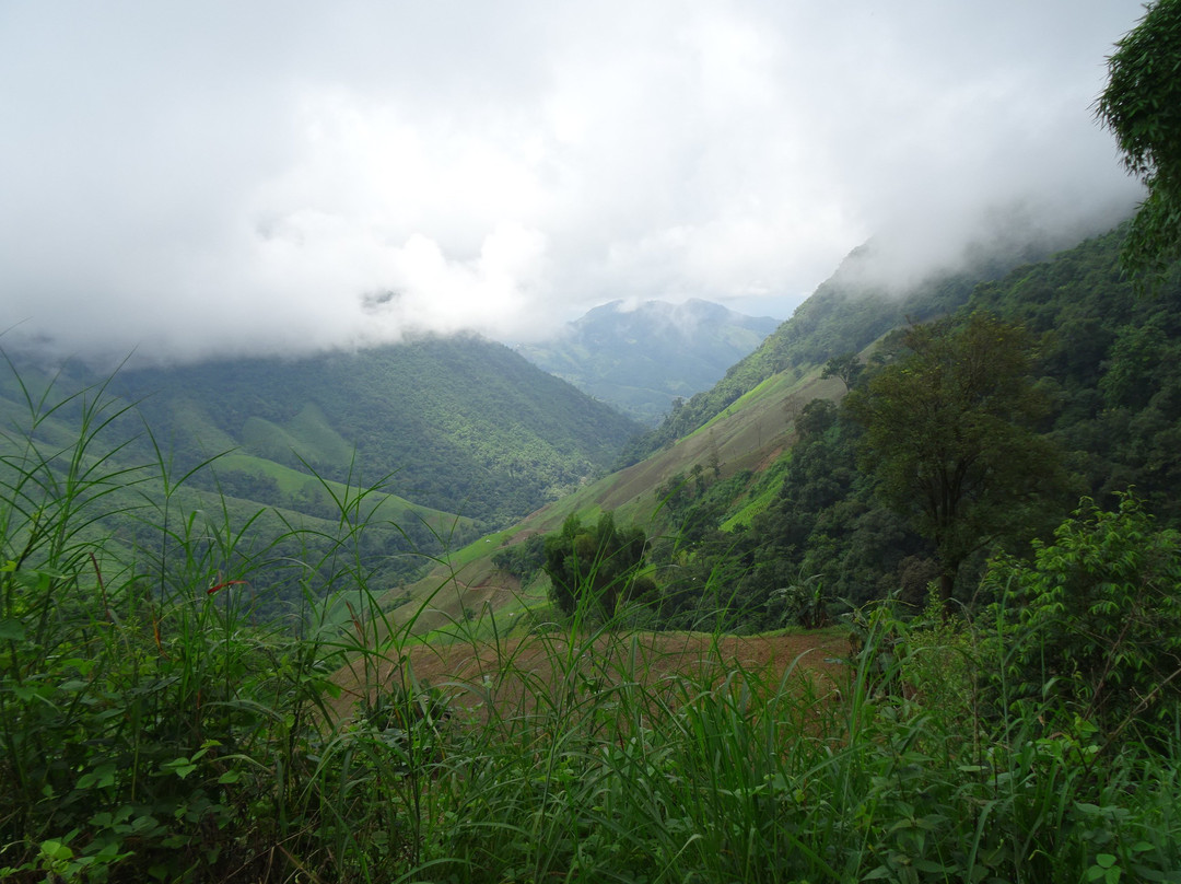 Pua Tranquil Vista Homestay主图