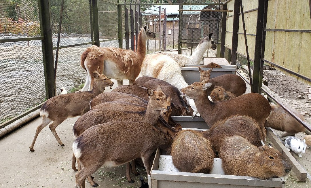 Sayuri World-市原市必去景点