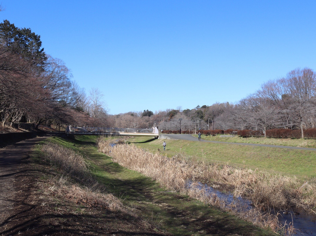 Musashino Park-小金井市必去景点