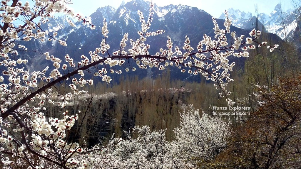Hunza Explorers-罕萨必去景点