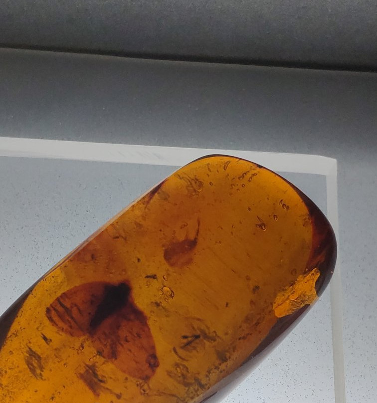 Museo del Ámbar, Lilia Mijangos-圣克里斯托瓦尔-德拉斯卡萨斯必去景点