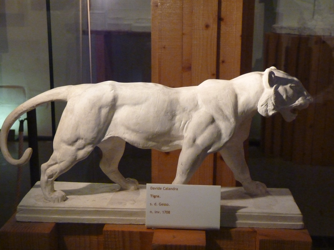 Museo Civico Antonino Olmo e Gipsoteca Davide Calandra景点图片