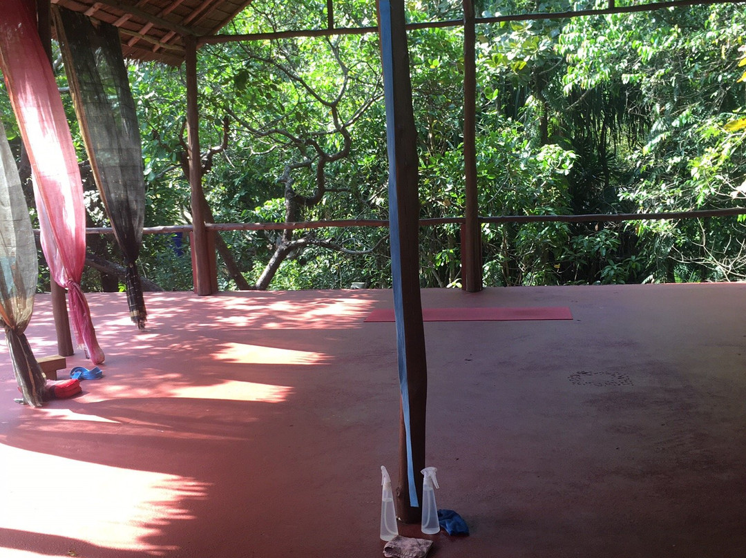 PAUSE - Surf & Yoga House景点图片