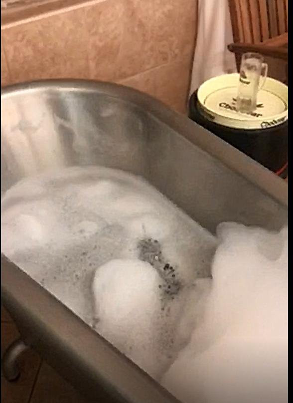 Hotel U Sládka主图