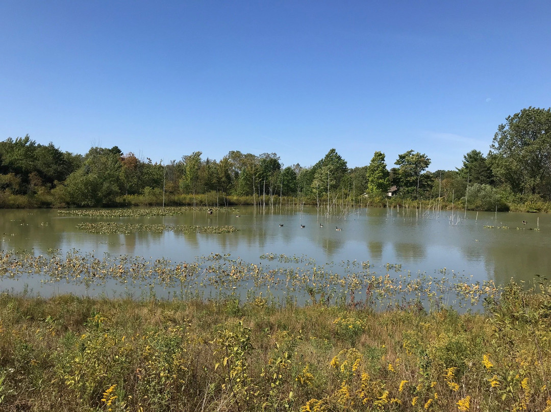 Lake Metroparks Penitentiary Glen Reservation景点图片