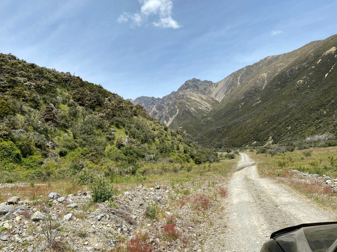 Molesworth Station景点图片