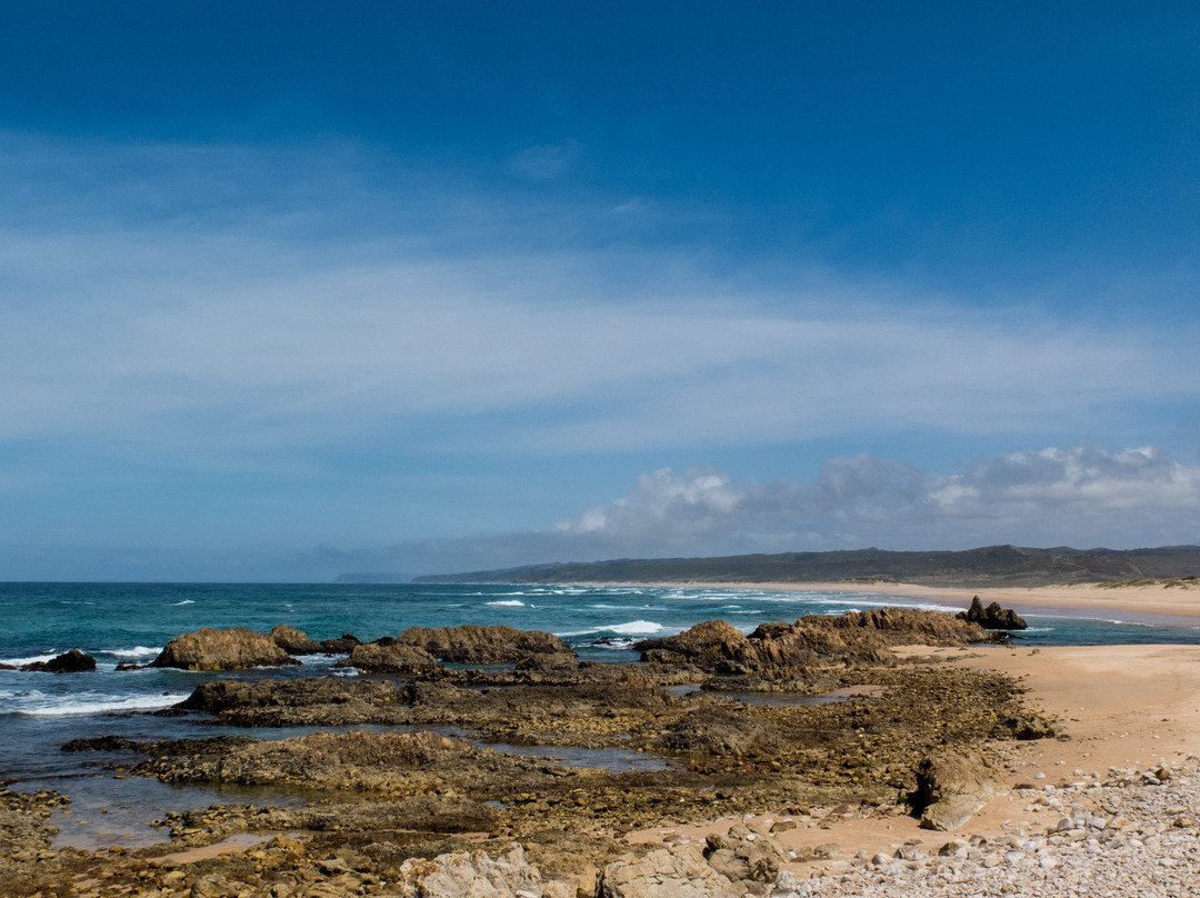 Goukamma Nature Reserve-克尼斯纳必去景点
