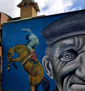 Natales A Pie-纳塔莱斯港必去景点