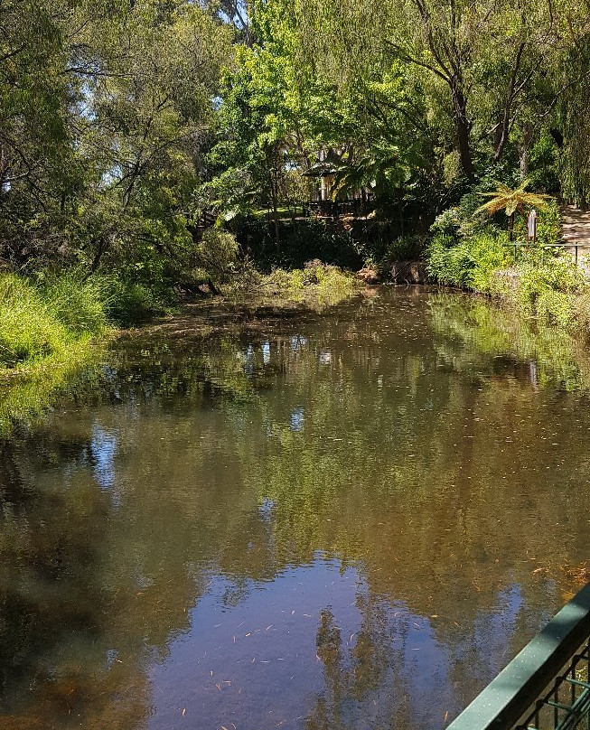 Mandurah Wine Tours景点图片