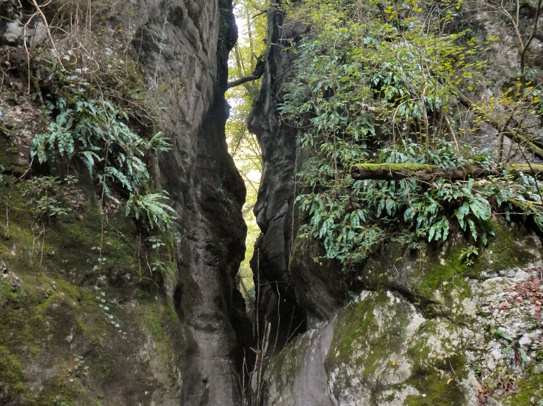 Parco Naturale del Monte Baldo景点图片