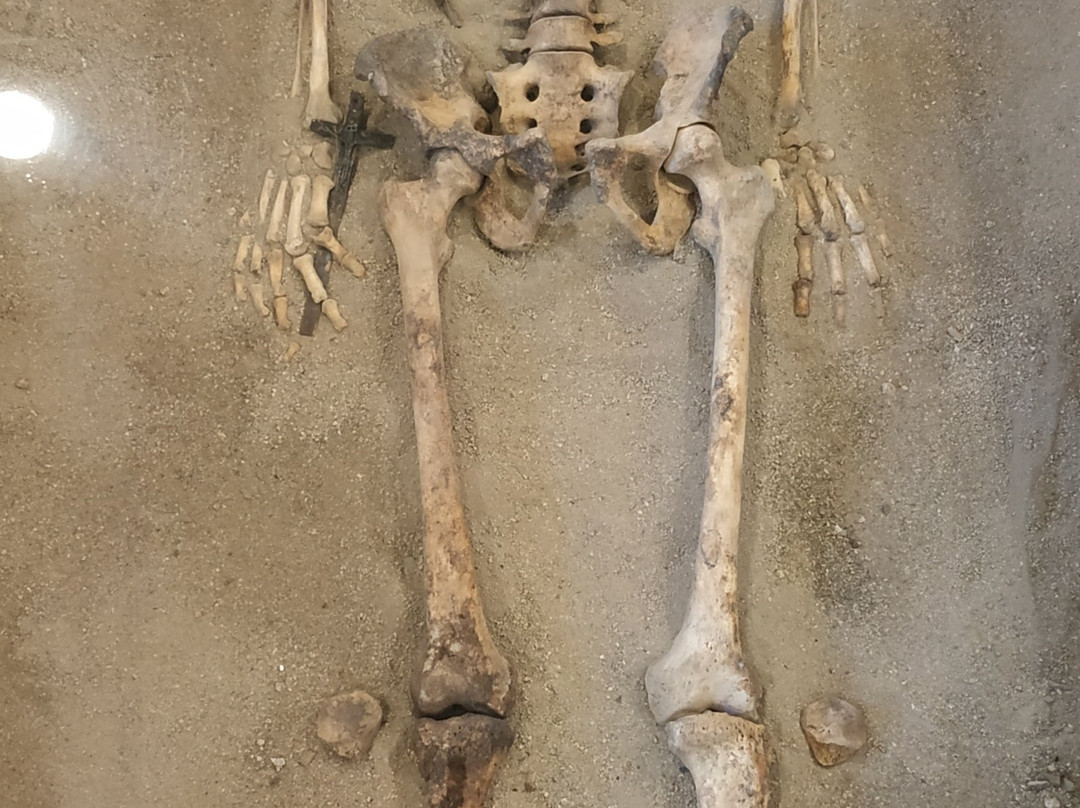 Museo Delle Mummie Roccapelago景点图片