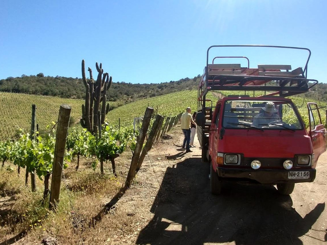 Polkura Syrah, Colchagua-Marchihue必去景点