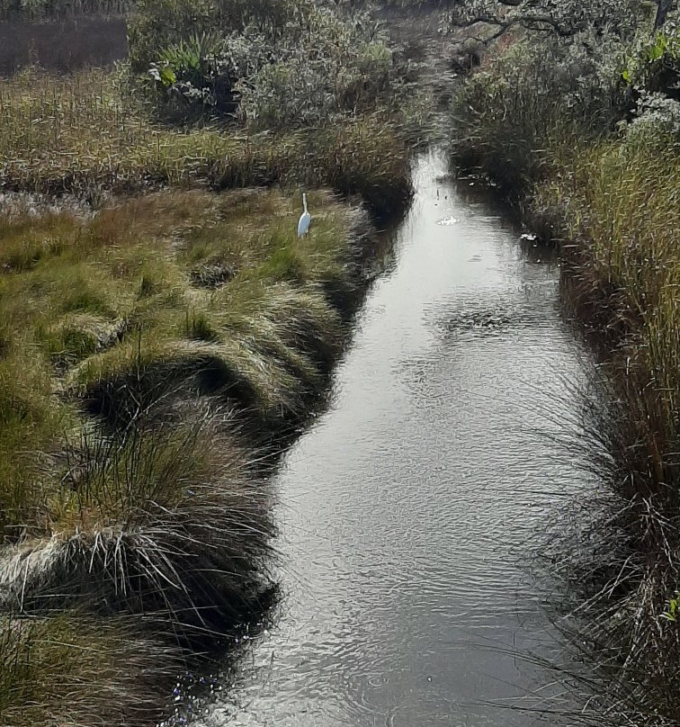 Wade Ward Nature Park-格尔夫海岸必去景点