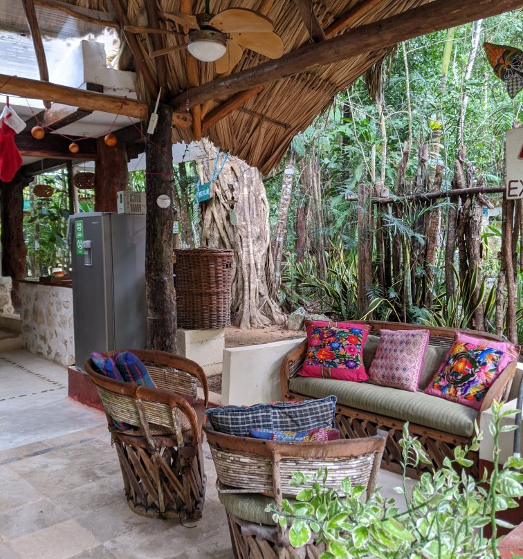 La Selva Mariposa主图