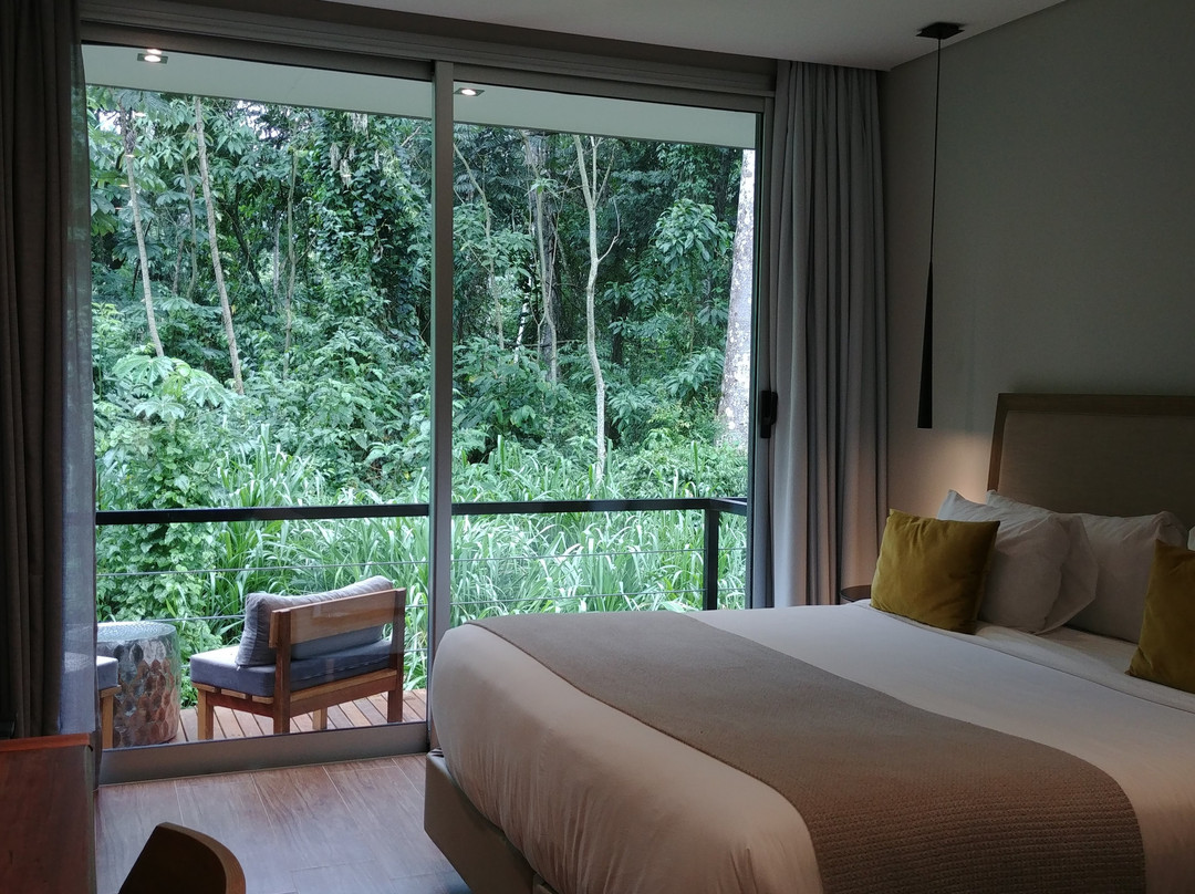 Selvaje Lodge Iguazu主图