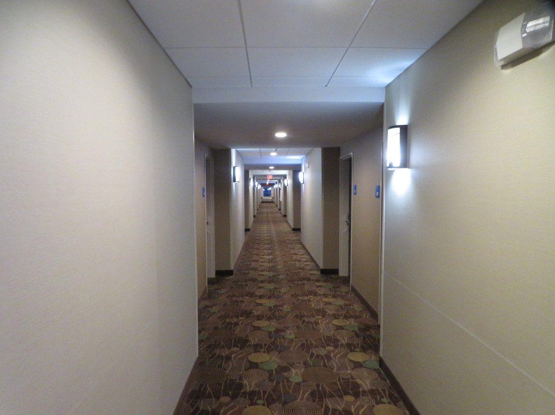 Holiday Inn Express & Suites Bridgeport - Clarksburg by IHG主图